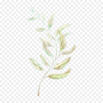 Watercolor Painting, Drawing, Painting, Plant, Flower PNG