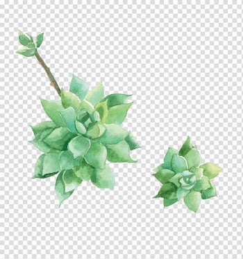 Watercolor painting Drawing , painting transparent background PNG clipart