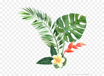 Watercolor painting Drawing Plant Illustration - Floral elements 