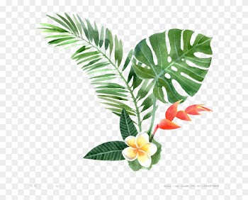 Watercolor Painting Drawing Plant Illustration - Tropical Plant Clip Art