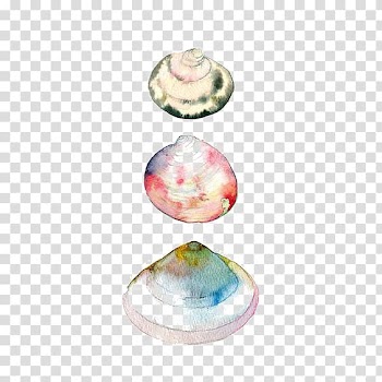 Watercolor painting Drawing Seashell, shell transparent background PNG clipart