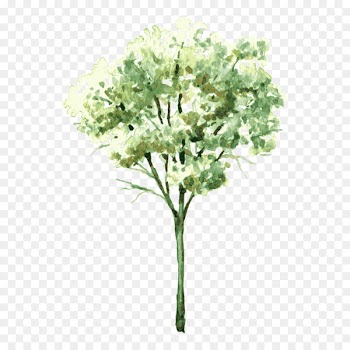 Watercolor painting Drawing Shrub Tree - tree,Trees 
