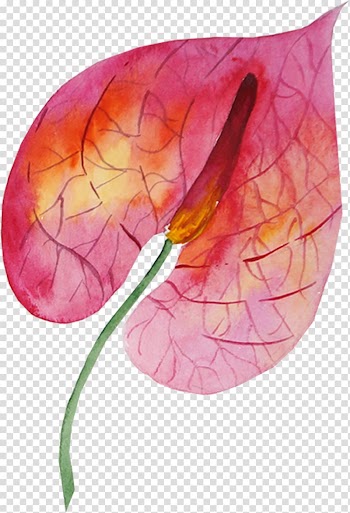 Watercolor painting Drawing, the big bang theory transparent background PNG clipart