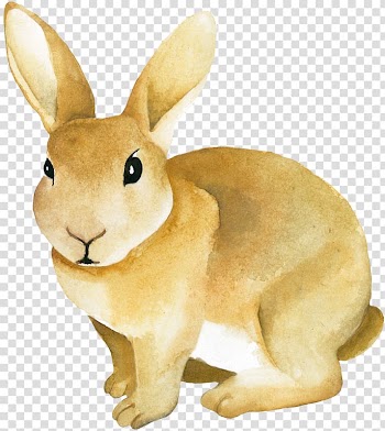 Watercolor painting Encapsulated PostScript Portable Network Graphics Poster Illustration, gray rabbit transparent background PNG clipart