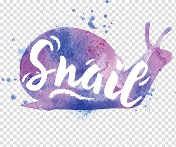 Watercolor painting Euclidean , Color snail transparent background PNG clipart