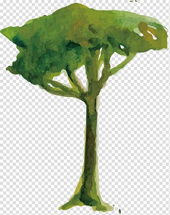 Watercolor painting Euclidean Illustration, Green tree illustration design transparent background PNG clipart