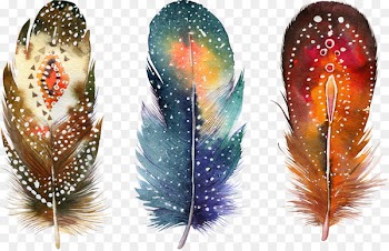 Watercolor painting Feather Drawing Poster - Fancy feathers 