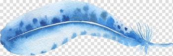 Watercolor painting Feather , feather transparent background PNG clipart