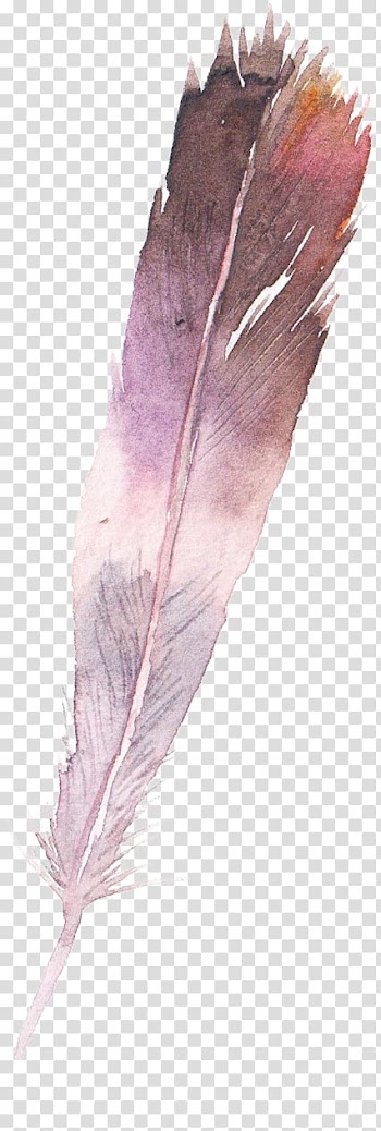 Watercolor painting Feather, feather transparent background PNG clipart