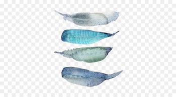Watercolor painting Feather - Feather watercolor picture material 