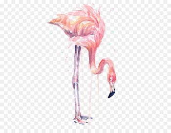 Watercolor painting Flamingo Art Printmaking - watercolor flamingo 