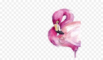 Watercolor painting Flamingo Drawing - Watercolor flamingo 