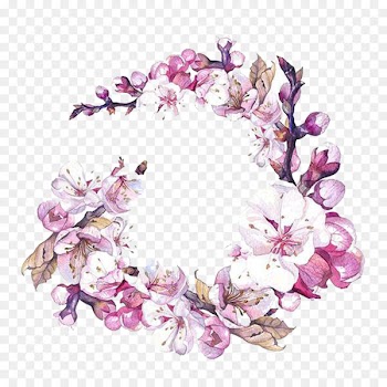 Watercolor painting Flower Art Cherry blossom - Pear Wreath picture material 
