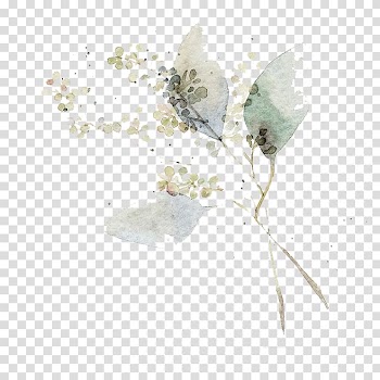 Watercolor painting Flower Art Illustration, Watercolor leaves, white floral painting transparent background PNG clipart