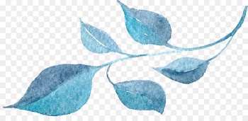 Watercolor painting Flower Blue - Transparent background floral botanical watercolor flowers 