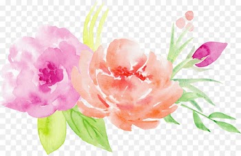 Watercolor painting Flower bouquet Illustration - Bouquet of roses decorative pattern 
