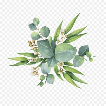 Watercolor painting Flower bouquet Leaf - eucalyptus 