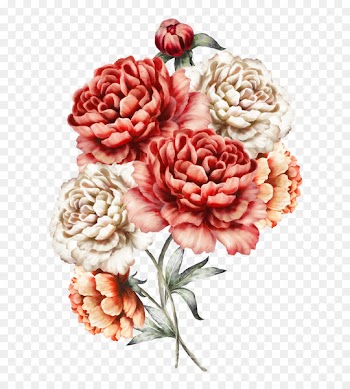 Watercolor painting Flower bouquet Pink - flower 