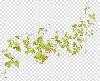 Watercolor painting Flower , Creative watercolor flowers tag flowers transparent background PNG clipart