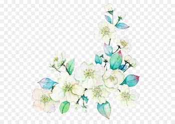 Watercolor painting Flower Download Illustration - White flowers 