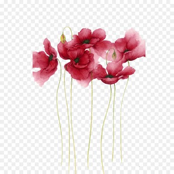 Watercolor painting Flower Drawing Art - Watercolor flowers 