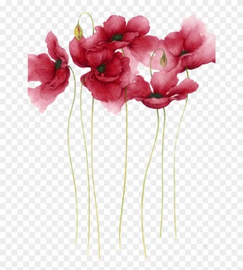 Watercolor Painting Flower Drawing Art - Watercolor Flowers