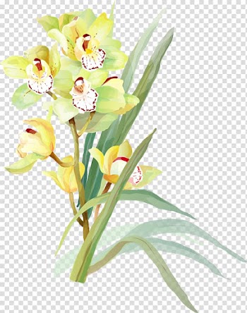 Watercolor painting Flower Drawing Art, watercolour transparent background PNG clipart