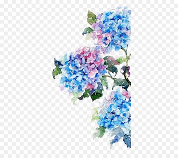 Watercolor painting Flower Drawing - Watercolor flowers 