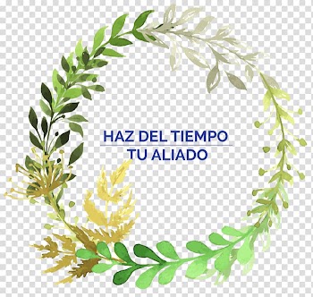 Watercolor painting Flower , flower transparent background PNG clipart