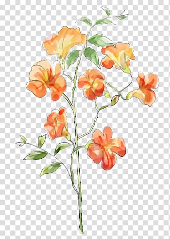 Watercolor painting Flower Green, painting transparent background PNG clipart
