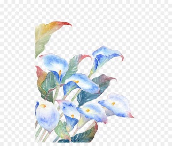 Watercolor painting Flower Illustration - Blue flowers 