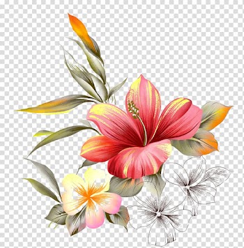 Watercolor painting Flower, painting transparent background PNG clipart