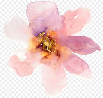 Watercolor painting Flower - Pale pink gouache painting flowers creative 