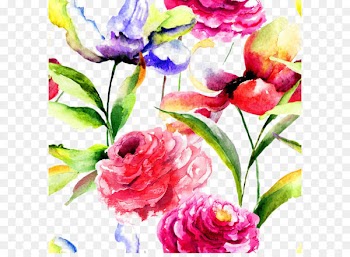 Watercolor painting Flower Peony - Beautiful watercolor flowers background 