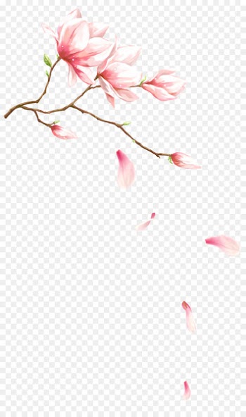Watercolor painting Flower - Pink Dream Orchid Flower Drops Decorative Patterns 