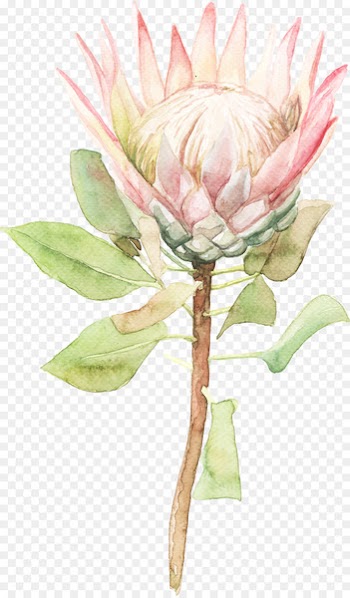Watercolor painting Flower - Sen Department of sunflower watercolor flowers 