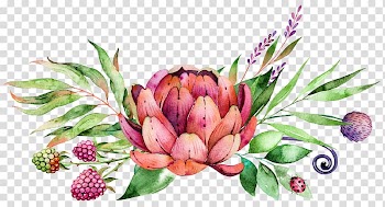 Watercolor painting Flower, succulent plants, pink and red flower illustration transparent background PNG clipart