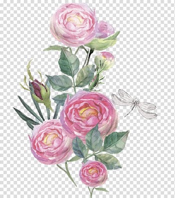Watercolor painting, flower transparent background PNG clipart