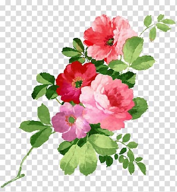 Watercolor painting Flower, Watercolor roses transparent background PNG clipart