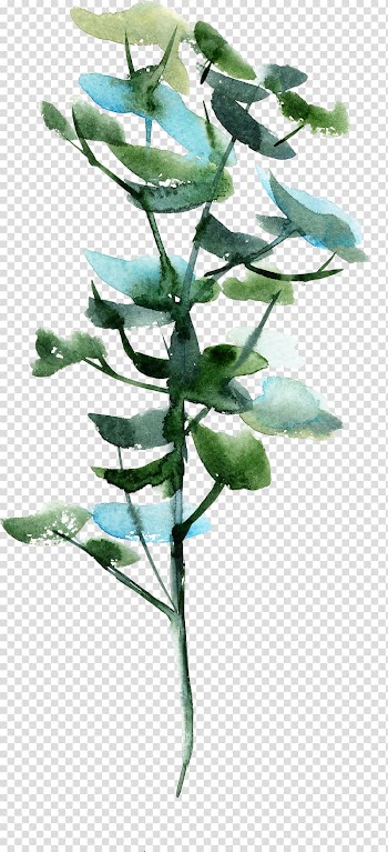 Watercolor painting Flowerpot, Watercolor green flower pot transparent background PNG clipart