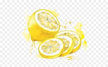 Watercolor painting Food Drawing Illustration - Watercolor lemon 