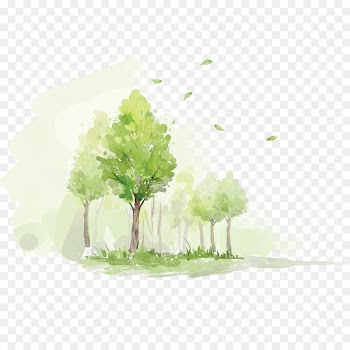 Watercolor painting Forest - Graffiti Grove 