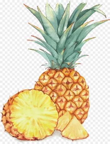 Watercolor painting Fruit Drawing Illustration - Pineapple vector material 