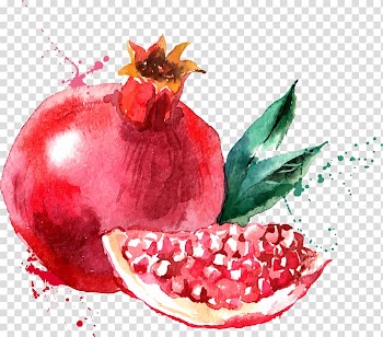 Watercolor painting Fruit Drawing, painting transparent background PNG clipart