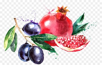Watercolor painting Fruit Drawing - Pomegranate Blueberry PNG vector material 