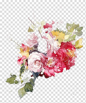 Watercolor painting Garden roses Flower Floral design Illustration, Watercolor flowers transparent background PNG clipart