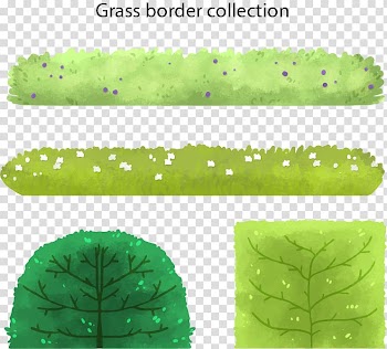 Watercolor painting Graphic design, Watercolor grass borders transparent background PNG clipart