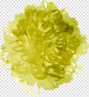 Watercolor painting Green , Green and fresh water color flowers transparent background PNG clipart