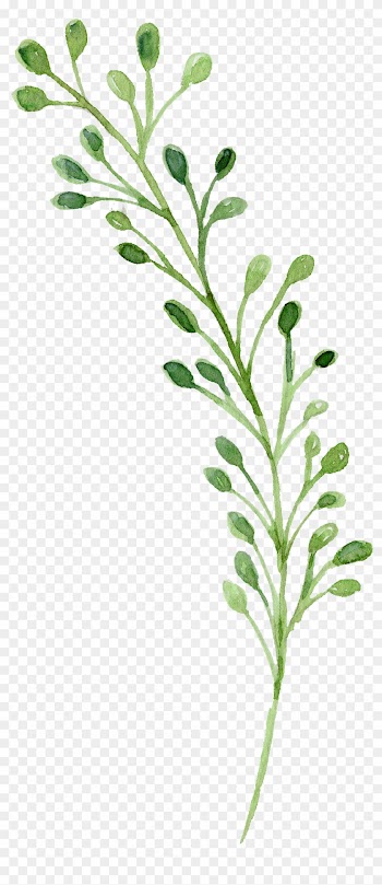 Watercolor Painting Green - Watercolor Green Flower Png