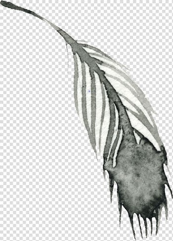 Watercolor painting, Hand-painted feathers transparent background PNG clipart
